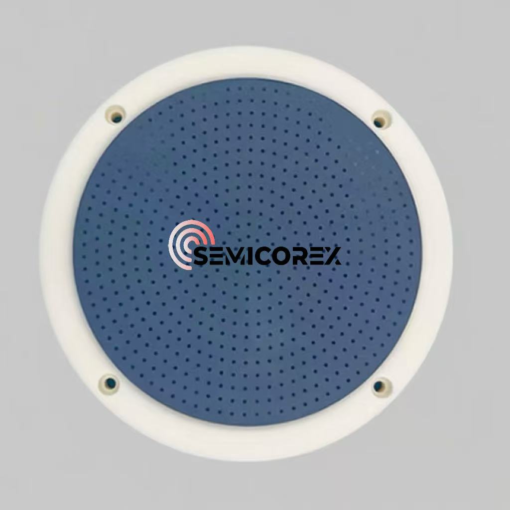 सिरेमिक इलेक्ट्रोस्टॅटिक चक्स